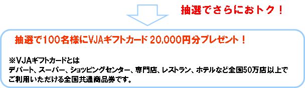 28.6.30未来応援20000円プレ