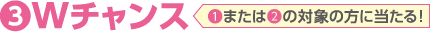 3.Wチャンス(1.または2.の対象者の方に当たる)