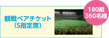 180組360名様 観戦ペアチケット(S指定席)