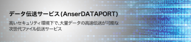 データ伝送サービス(AnserDATAPORT)