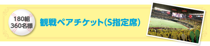 180組360名様 観戦ペアチケット(S指定席)
