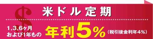 米ドル定期年利5%