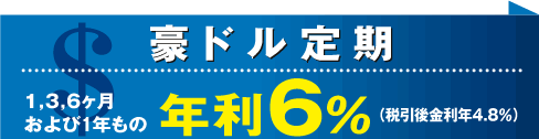 米ドル定期年利5%