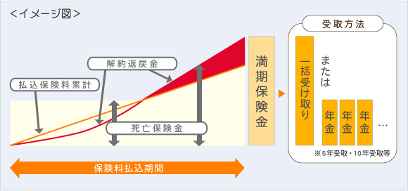 養老 保険