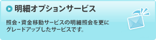 明細オプションサービス／照会・資金移動サービスの明細照会を更にグレードアップしたサービスです。