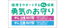 健康をサポートするがん保険　勇気のお守り