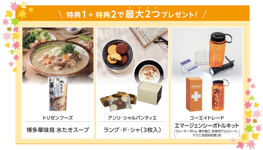 特別特典