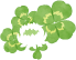 アイコン：葉っぱ