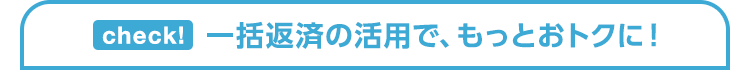 一括返済の活用で、もっとおトクに！