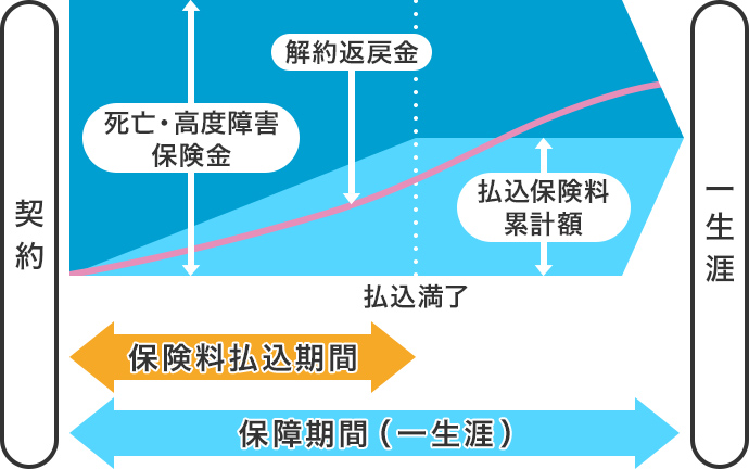 図：終身保険のイメージ/契約後一定の期間保険料を払込む。払込満了後、保障期間が一生涯続きます。払込期間に関わらず、死亡・高度障害保険金は一定です。