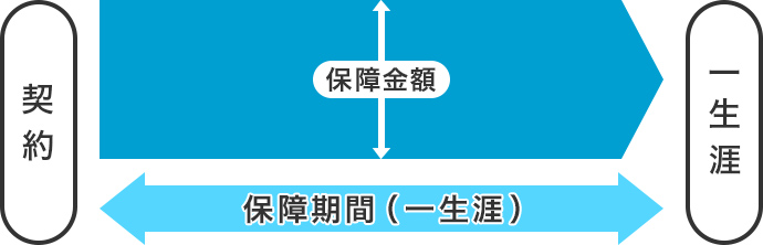 図：終身タイプの医療保険のイメージ図/契約から保障期間が一生涯続きます。