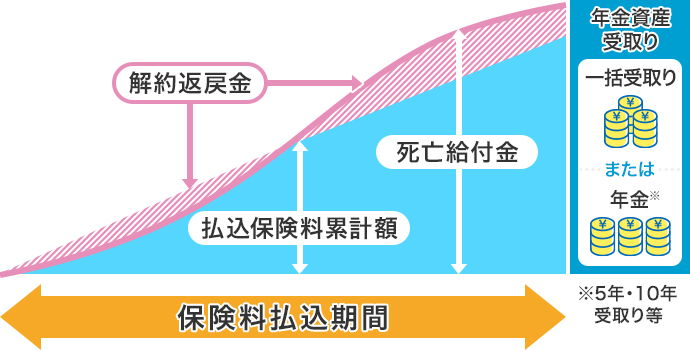 図：個人年金保険のイメージ図/保険料払込期間に払込をし、将来年金資産を一括または年金の形で受取りします/解約返戻金は払込期間によって払込累計額を下回る期間があります。死亡給付金あり/年金は5年・10年受取り等