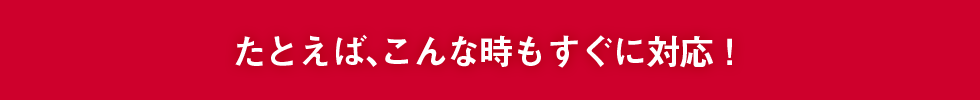 たとえば、こんな時もすぐに対応!