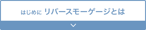 はじめに リバースモーゲージとは