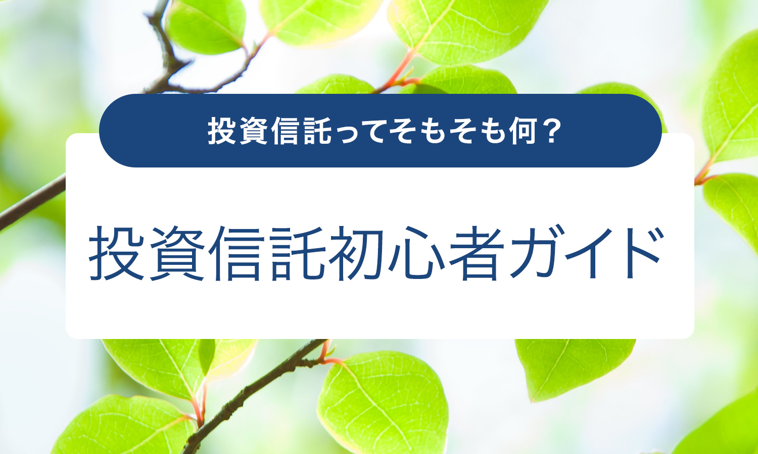 投資信託初心者ガイド | 福岡銀行