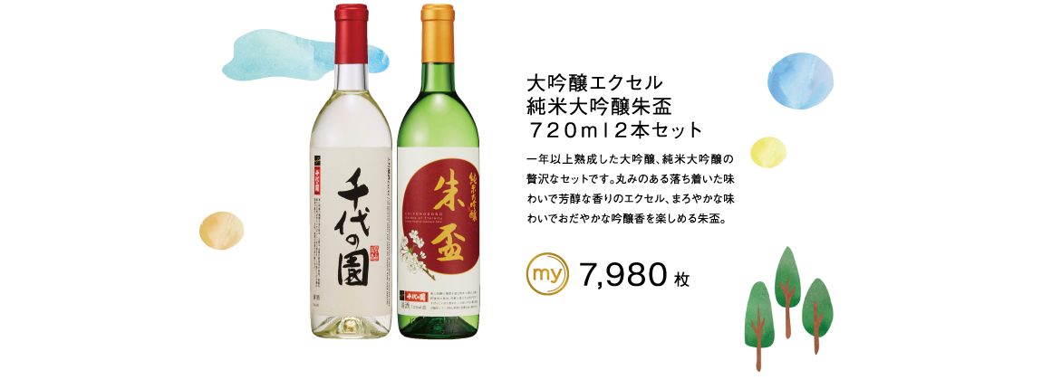大吟醸エクセル純米大吟醸朱盃７２０ｍｌ２本セット