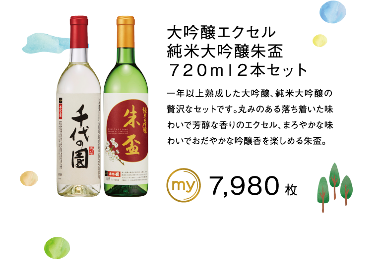 大吟醸エクセル純米大吟醸朱盃７２０ｍｌ２本セット