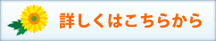 ミックスパック詳しくはこちらから