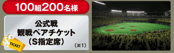 100組200名様公式戦観戦ペアチケット（Ｓ指定席）（※1）