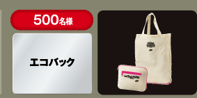 500名様エコバック