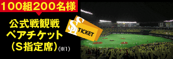 100組200名様公式戦観戦ペアチケット（Ｓ指定席）（※1）