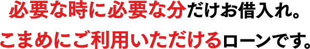 必要な時に必要な分だけお借入れ。こまめにご利用いただけるローンです。